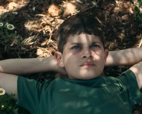Israel's Minister of Culture Threatens Withdraw Ophir Awards Funding Following Palestinian Story Movie Wins Top Prize